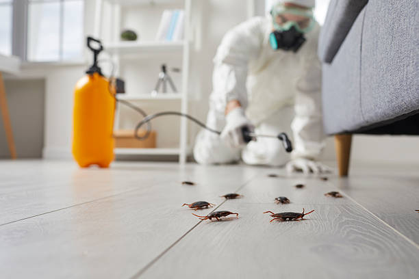 Commercial Kitchen Cockroach Control in Fort Thompson